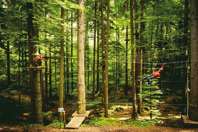 Ropes Park Interlaken - Staff Support and Safety