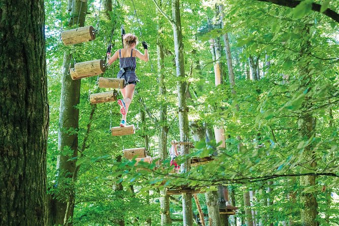 Ropes Park Interlaken - Nine Courses, From Ground Level to 23 Meters