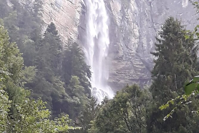 See It All Sightseeing Tour Tickets incl. From Bern + Interlaken - Brienzwiler cows and Brünig Pass views