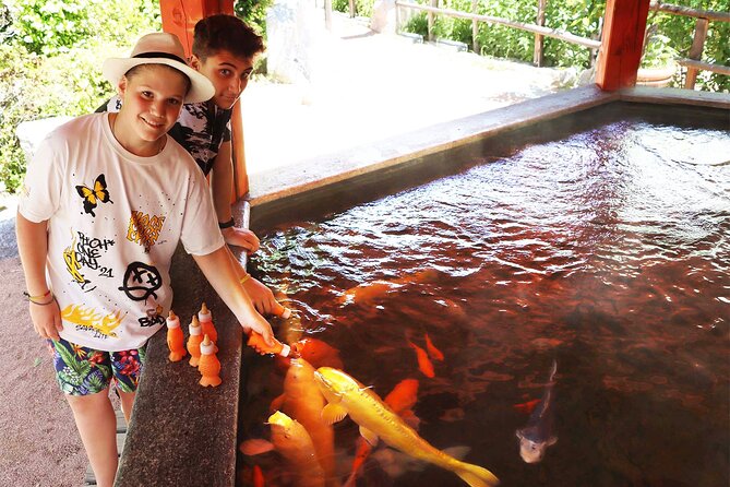 Skip the Line: Falconeria Locarno Ticket - Four details that shape the experience