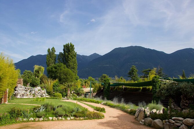 Skip the Line: Falconeria Locarno Ticket - What the $38.61 ticket includes
