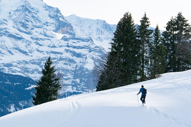 Snowshoe Adventure in the Swiss Alps - Key points at a glance