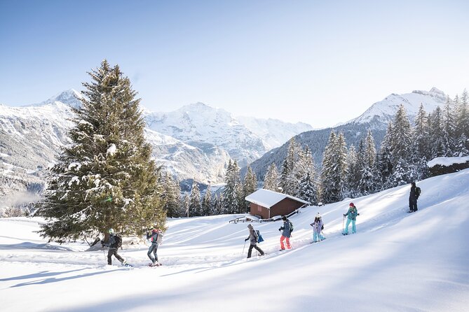 Snowshoe Adventure in the Swiss Alps - Starting at Outdoor Interlaken Base in Wilderswil