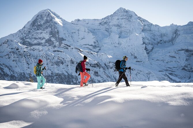 Snowshoe Adventure in the Swiss Alps - Guides, safety, and the small-group feel