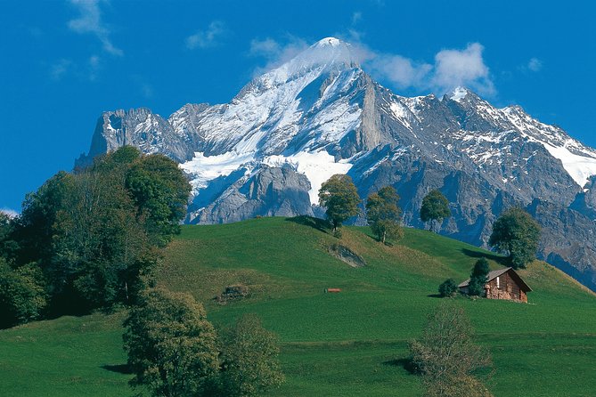 Swiss Alps: Interlaken and Grindelwald Day Trip from Zurich - Zurich departure: simple meeting point, early start