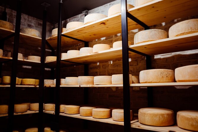Swiss Cheese Tasting Experience | Basel - Why this Basel tasting is worth your time