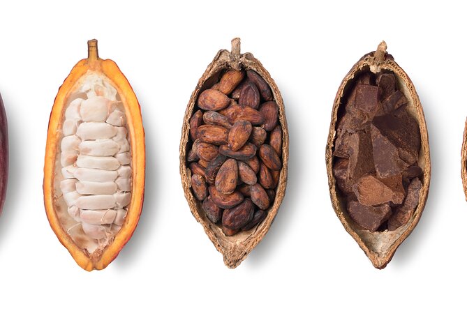 Swiss Chocolate Tasting Experience | Basel - What happens at Binningerstrasse 15