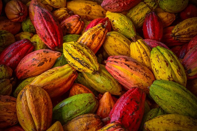 Swiss Chocolate Tasting Experience | Basel - Price, timing, and real value