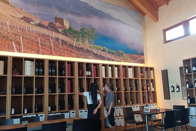 Swiss Vineyard Wine Tasting Tour in Vaud - Aigle adds another regional viewpoint