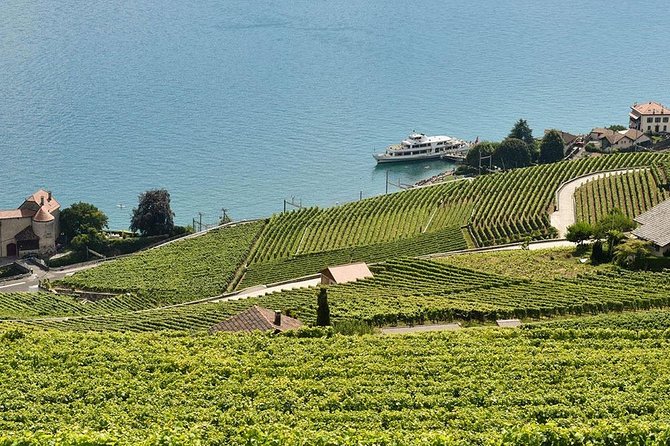 Swiss Wine Tasting at Lavaux Vineyards: Private Trip from Geneva - Key points to know before booking