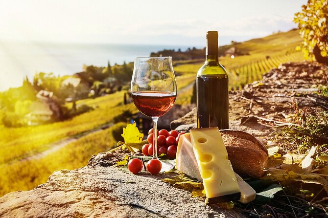 Swiss Wine Tasting at Lavaux Vineyards: Private Trip from Geneva - Why Lavaux makes a fine day out from Geneva