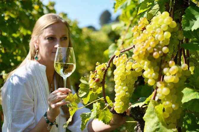 Swiss Wine Tasting at Lavaux Vineyards: Private Trip from Geneva - Understanding Chasselas in Vaud