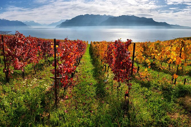 Swiss Wine Tasting at Lavaux Vineyards: Private Trip from Geneva - Who will enjoy this private Lavaux outing