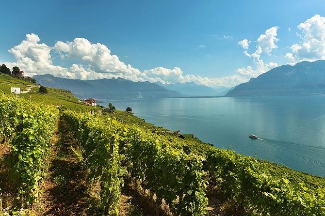 Swiss Wine Tasting at Lavaux Vineyards: Private Trip from Geneva - Leaving Geneva with a private vehicle