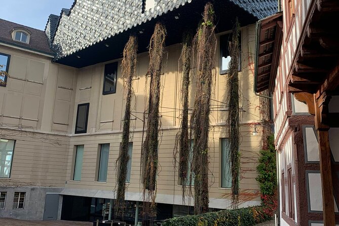 The Best of Basel’s Hidden Treasures: A Self-Guided Audio Tour - The Pfalz and views over the Rhine