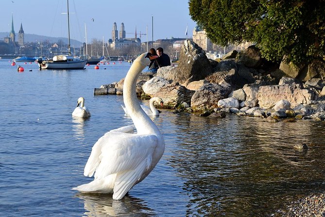 The Best of Zurich Including Panoramic Views in a Small Group Walking Tour - What you get for $68.64