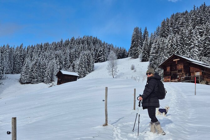 The best Sunset hike with Cheese Fondue - Key points before you book