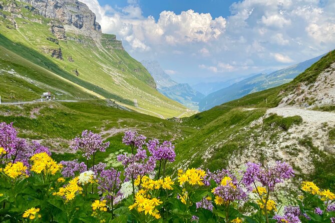 The natural wonders of Switzerland: private tour from Basel (1 day) - Price, pace, and who gets good value