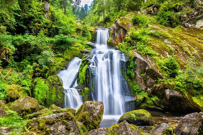 Trip from Zurich to Germany's Black Forest & Swiss Rhine Falls - Lake Titisee slows the rhythm
