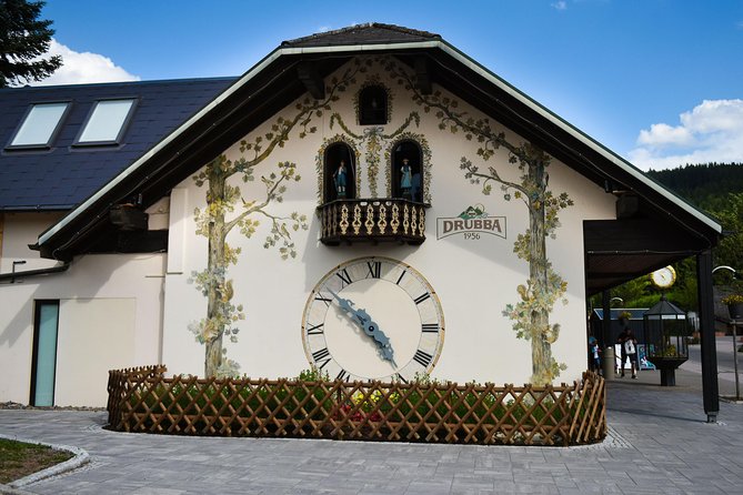 Trip from Zurich to Germany's Black Forest & Swiss Rhine Falls - The private car is the real luxury
