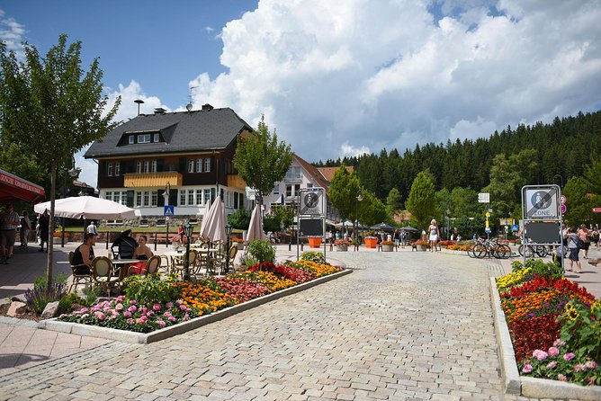 Trip from Zurich to Germany's Black Forest & Swiss Rhine Falls - Who will enjoy this day most?