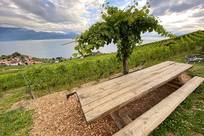 Vine Stories: Lavaux & Lutry wine walk - Why Lavaux makes such a good wine walk