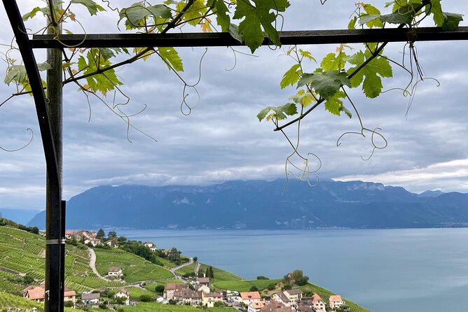 Vine Stories: Lavaux & Lutry wine walk - Walking through Grandvaux and western Lavaux
