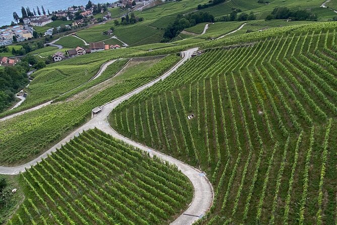 Vine Stories: Lavaux & Lutry wine walk - The views over Lake Geneva