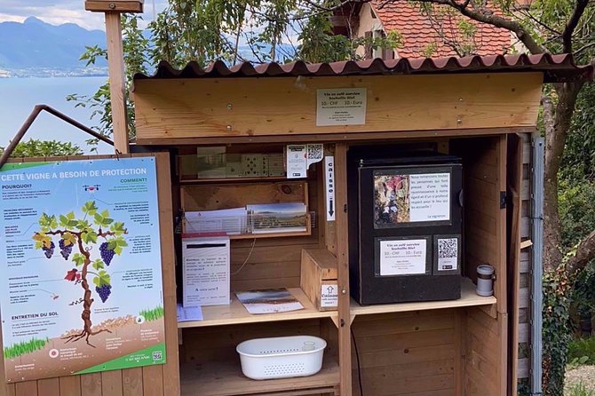 Vine Stories: Lavaux & Lutry wine walk - Starting at Bossière in Lutry