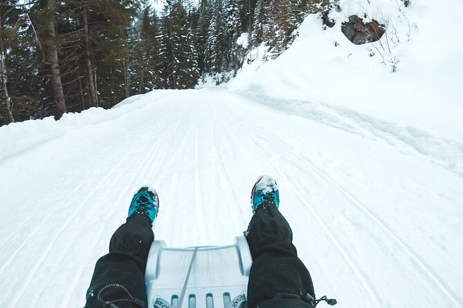 Winter Alpine Adventure - Sledding past meadows and frozen waterfalls