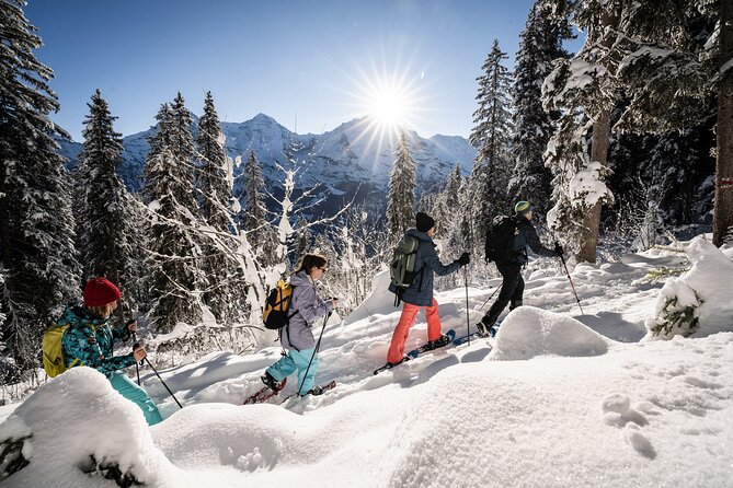 Winter Alpine Adventure - A fondue lunch with a mountain view