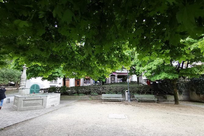 Zürich Historic District Tour - Brunngasse and a private glimpse indoors