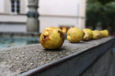 Zürich Historic District Tour