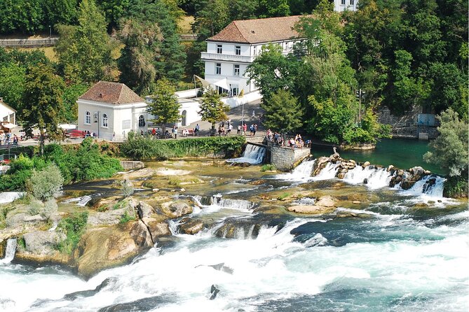 Zürich: Private Car Tour to Rhine Falls, Titisee and Black Forest - Key points to know before booking