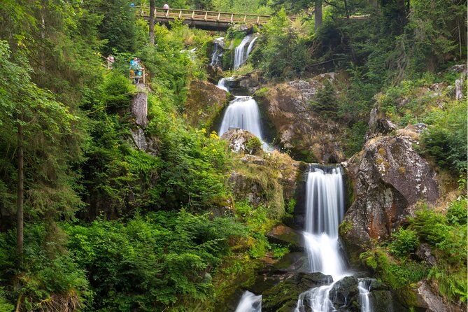 Zürich: Private Car Tour to Rhine Falls, Titisee and Black Forest - Lake Titisee and the Black Forest setting