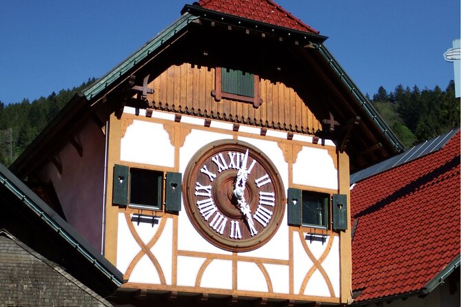 Zürich: Private Car Tour to Rhine Falls, Titisee and Black Forest - Schluchsee as the final photo stop