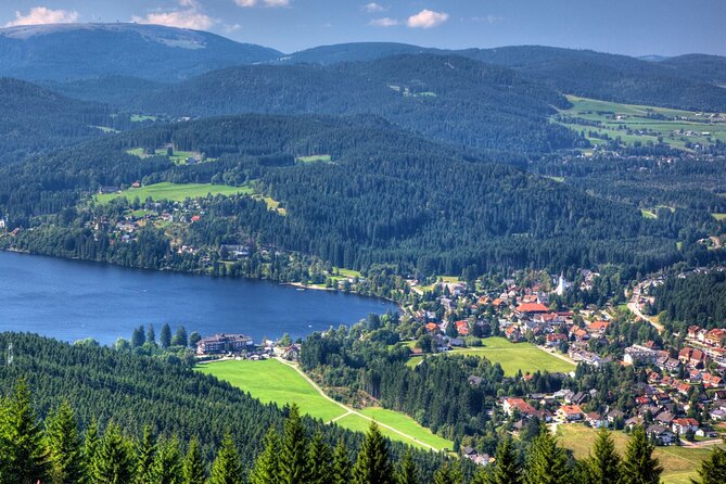 Zürich: Private Car Tour to Rhine Falls, Titisee and Black Forest - What the private car adds