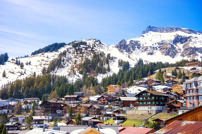 Zurich: Private Daytrip to Swiss Villages(Interlaken-Grindelwald) - Is $264.50 per person good value?