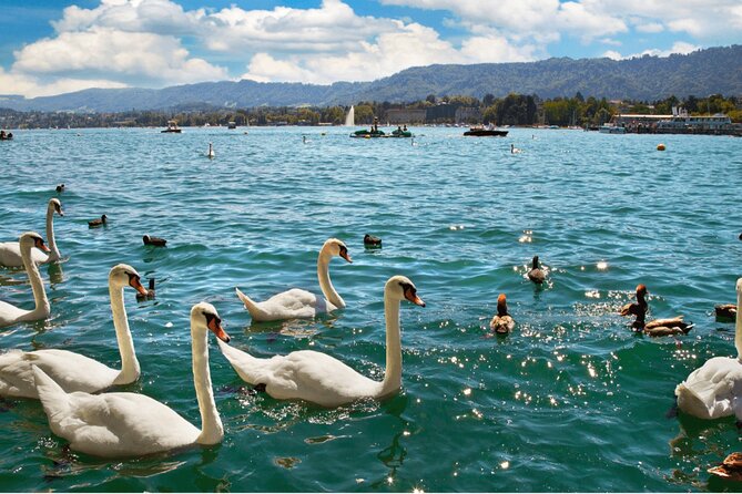 Zurich with Cruise and Lindt Home of Chocolate Private tour - Is $511.68 per person fair?